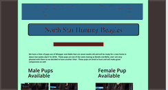 Desktop Screenshot of northstarhuntingbeagles.com